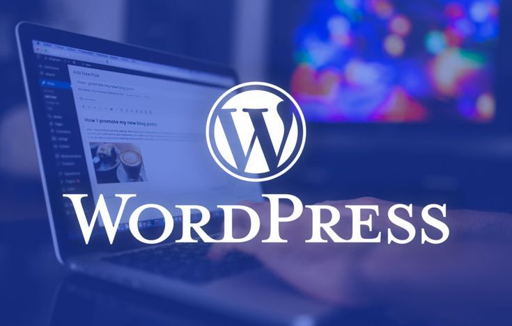 A Beginner’s Guide to WordPress Web Development